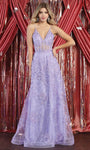 A-line V-neck Corset Natural Waistline Sheer Lace-Up Floor Length Lace Spaghetti Strap Prom Dress