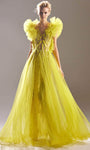 A-line Floor Length Natural Waistline Illusion V Back Fitted Tulle Bateau Neck Evening Dress With Ruffles