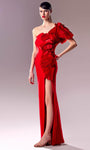 Sophisticated One Shoulder Organza Sheath Natural Waistline Back Zipper Open-Back Fitted Slit Sheath Dress