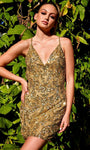 V-neck Natural Waistline Sleeveless Spaghetti Strap Plunging Neck Cocktail Above the Knee Sheath Open-Back Fitted Back Zipper Sequined Sheath Dress/Party Dress