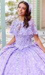 Sophisticated V-neck Glittering Lace-Up Sequined Winter Floral Print Natural Waistline Ball Gown Quinceanera Dress/Party Dress with a Chapel Train With a Bow(s)