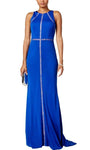 Sophisticated Jeweled Neck Sheath Natural Waistline Fitted Illusion Back Zipper Jersey Sleeveless Sheath Dress/Evening Dress with a Brush/Sweep Train