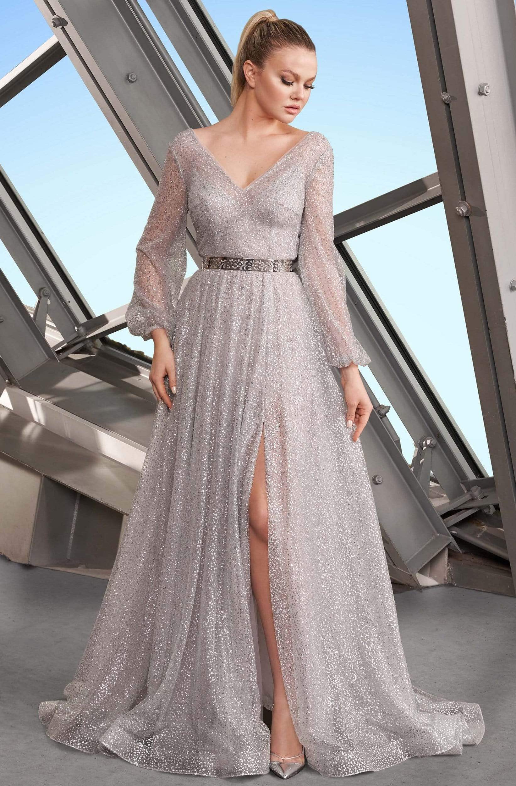 Alexander by Daymor - 1182 V-Neck Long Sleeves A-Line Gown
