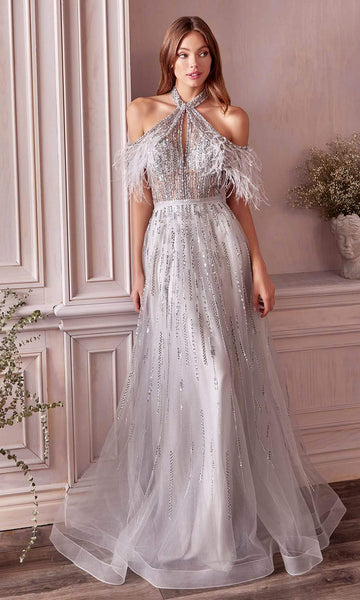 A-line Cold Shoulder Sleeves Floor Length Natural Waistline Crystal Fitted Back Zipper Open-Back Beaded Sheer Halter Tulle Prom Dress with a Brush/Sweep Train