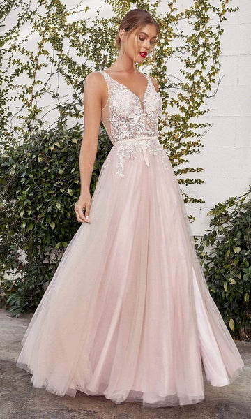 A-line V-neck Plunging Neck Sleeveless Applique Slit Beaded Sheer Embroidered Open-Back Natural Waistline Floor Length Dress With a Ribbon and Rhinestones