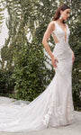 Sophisticated V-neck Illusion Applique Embroidered Open-Back Back Zipper Plunging Neck Natural Waistline Mermaid Sleeveless Wedding Dress with a Court Train