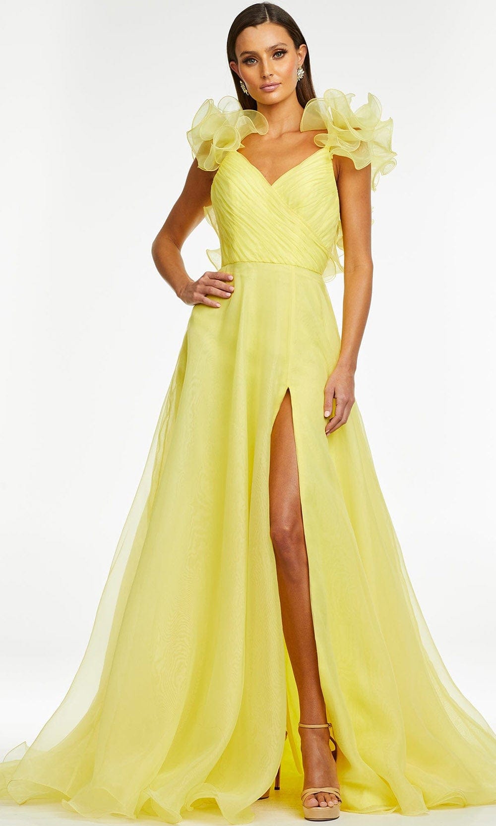 Ashley Lauren - 11166 Ruffled V-Neck A-Line Gown
