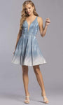 A-line V-neck Pleated Sheer Illusion Natural Waistline Short Plunging Neck Sleeveless Dress