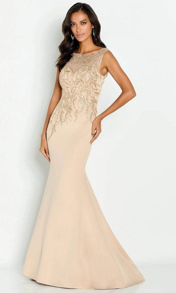 Sleeveless Mermaid Bateau Neck Natural Waistline Embroidered Back Zipper Illusion Tulle Evening Dress with a Brush/Sweep Train