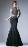 Natural Waistline Sleeveless Floor Length Halter Mermaid Cutout Fitted Sheer Beaded Back Zipper Evening Dress with a Brush/Sweep Train