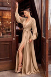 A-line V-neck Hidden Back Zipper V Back Slit Flowy Plunging Neck Natural Waistline Bishop Sleeves Floor Length Party Dress