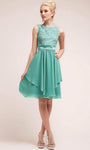 Sophisticated A-line Jeweled Neck Lace Sleeveless Embroidered Short Natural Waistline Party Dress