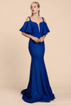 Sophisticated Sheer Cutout Natural Waistline Bandeau Neck Notched Collar Plunging Neck Square Neck Cold Shoulder Flutter Short Sleeves Sleeves Off the Shoulder Floor Length Mermaid Evening Dress with 