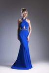 Floor Length Natural Waistline Mermaid Halter Sleeveless Beaded Cutout Open-Back Fitted Prom Dress with a Brush/Sweep Train