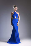 Sleeveless Halter Floor Length Mermaid Cutout Fitted Open-Back Beaded Natural Waistline Prom Dress with a Brush/Sweep Train