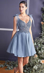 A-line V-neck Plunging Neck Cocktail Short Natural Waistline Sleeveless Sheer Dress With a Bow(s)