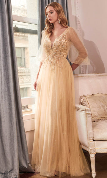 A-line V-neck Natural Waistline Bishop Sleeves Plunging Neck Applique Beaded Open-Back Illusion Sheer Draped Evening Dress/Bridesmaid Dress/Mother-of-the-Bride Dress/Prom Dress with a Brush/Sweep Trai