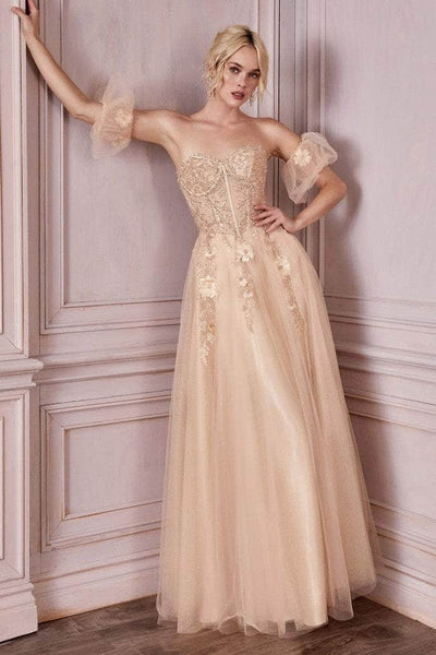 A-line Sweetheart Floral Print Puff Sleeves Sleeves Beaded Glittering Open-Back Applique Back Zipper Sheer Lace Corset Natural Waistline Evening Dress/Bridesmaid Dress/Mother-of-the-Bride Dress/Prom D