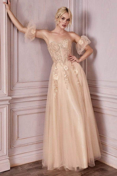 A-line Floral Print Sweetheart Corset Natural Waistline Lace Sheer Glittering Back Zipper Open-Back Beaded Applique Puff Sleeves Sleeves Evening Dress/Bridesmaid Dress/Mother-of-the-Bride Dress/Prom D