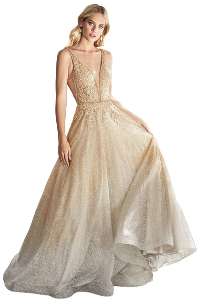 A-line V-neck Plunging Neck Fitted Back Zipper Sheer Beaded Glittering Natural Waistline Floor Length Evening Dress