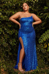 Plus Size Sleeveless Fitted Slit Sequined Asymmetric Natural Waistline Mermaid Dress