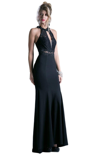 Halter Sleeveless Lace Fitted Sheer Cutout Dress with a Brush/Sweep Train