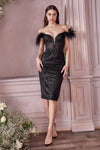 V-neck Plunging Neck Cocktail Above the Knee Corset Natural Waistline Sheath Off the Shoulder V Back Slit Back Zipper Sheer Sheath Dress/Evening Dress/Bridesmaid Dress/Mother-of-the-Bride Dress/Prom D