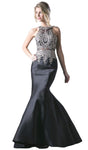 Tall Mermaid Natural Waistline Halter High-Neck Cutout Illusion Floor Length Evening Dress with a Brush/Sweep Train