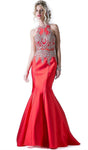 Tall Natural Waistline Mermaid Halter High-Neck Illusion Cutout Floor Length Evening Dress with a Brush/Sweep Train