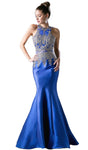 Tall Floor Length Mermaid Halter High-Neck Illusion Cutout Natural Waistline Evening Dress with a Brush/Sweep Train