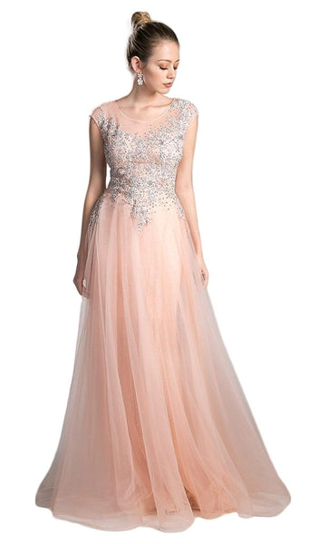 A-line Illusion Sheer Beaded Sheer Back Applique Tulle Cap Sleeves Evening Dress with a Brush/Sweep Train