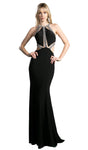 Sleeveless Halter Sheath Sheer Glittering Open-Back Floor Length Sheath Dress with a Brush/Sweep Train