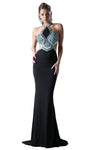 Floor Length Halter Fitted Open-Back Sleeveless Sheath Sheath Dress/Prom Dress with a Brush/Sweep Train