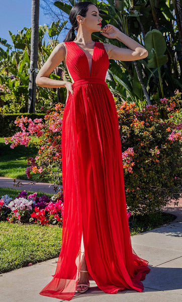 Tall A-line V-neck Natural Waistline Plunging Neck Illusion Slit Evening Dress with a Brush/Sweep Train