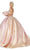 Dancing Queen - 1585 Jeweled Lace Metallic Gown Quinceanera Dresses