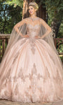 Strapless Sweetheart Natural Waistline Fitted Lace-Up Sheer Evening Dress with a Brush/Sweep Train