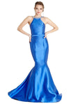 Elasticized Natural Princess Seams Waistline Belted Fitted Glittering Halter Mermaid Sleeveless Evening Dress/Prom Dress with a Brush/Sweep Train