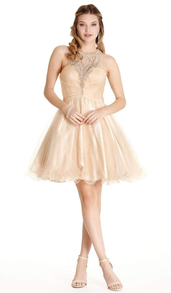 A-line Short Natural Waistline Sleeveless Illusion Sheer Back Zipper Halter Sweetheart Homecoming Dress/Prom Dress