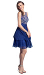 A-line Sleeveless Scoop Neck Elasticized Natural Waistline V Back Ruched Tiered Illusion Fitted Sheer Homecoming Dress