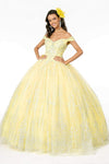 Off the Shoulder Floor Length Basque Waistline Crystal Glittering Mesh Pleated Fitted Fall Quinceanera Dress