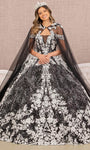 V-neck Plunging Neck Off the Shoulder Illusion Embroidered Sheer Mesh Floor Length Natural Waistline Floral Print Ball Gown Evening Dress with a Brush/Sweep Train