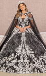 V-neck Embroidered Sheer Illusion Mesh Natural Waistline Floral Print Plunging Neck Floor Length Off the Shoulder Ball Gown Evening Dress with a Brush/Sweep Train