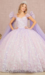 Sweetheart Natural Waistline Mesh Floor Length Ball Gown Evening Dress/Quinceanera Dress with a Brush/Sweep Train With a Bow(s) and a Ribbon and a Sash