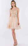 A-line Short Natural Waistline Back Zipper Jeweled Illusion Embroidered Mesh Glittering Cap Sleeves Scoop Neck Dress