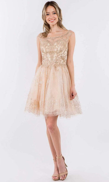 A-line Natural Waistline Jeweled Embroidered Mesh Back Zipper Illusion Glittering Scoop Neck Cap Sleeves Short Dress
