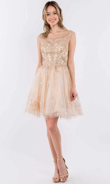 A-line Natural Waistline Short Scoop Neck Glittering Mesh Jeweled Illusion Embroidered Back Zipper Cap Sleeves Dress