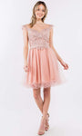 A-line Embroidered Applique Mesh Draped Back Zipper Sweetheart Short Natural Waistline Flutter Sleeves Babydoll Dress