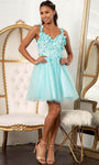 Sophisticated V-neck Tulle Floral Print Fit-and-Flare Sweetheart Natural Waistline Beaded Lace-Up Fitted Applique Mesh Glittering V Back Sheer Sequined Cocktail Short Dress