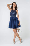 A-line Lace Jeweled Neck Jeweled Open-Back Beaded Back Zipper Applique Illusion Sheer Embroidered Pleated Cocktail Above the Knee Natural Waistline Sleeveless Dress With Ruffles