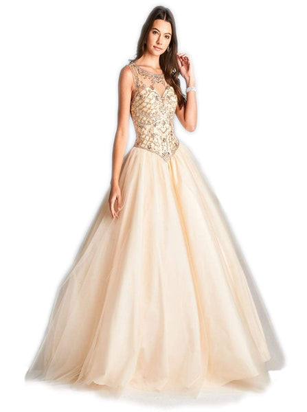 Lace-Up Open-Back Illusion Sheer Scoop Neck Sweetheart Sleeveless Basque Waistline Floor Length Quinceanera Dress
